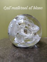 Load image into Gallery viewer, Une Sphère Lactée artistiquement sculptée en verre, contenant des cendres, repose sur une surface, capturant la lumière et révélant un tourbillon de Le Cueilleur de Verre.
